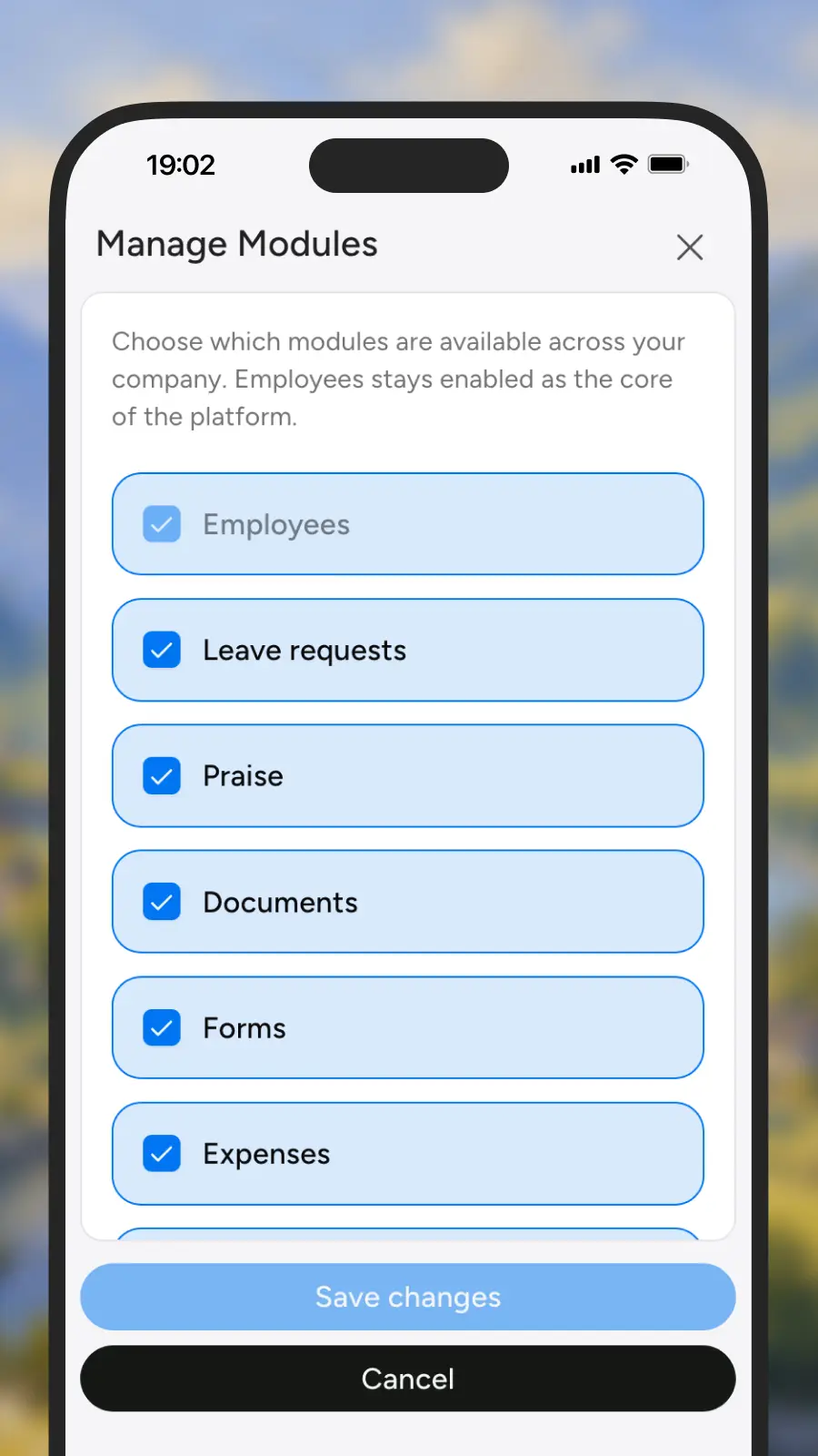Enabling and disabling company modules