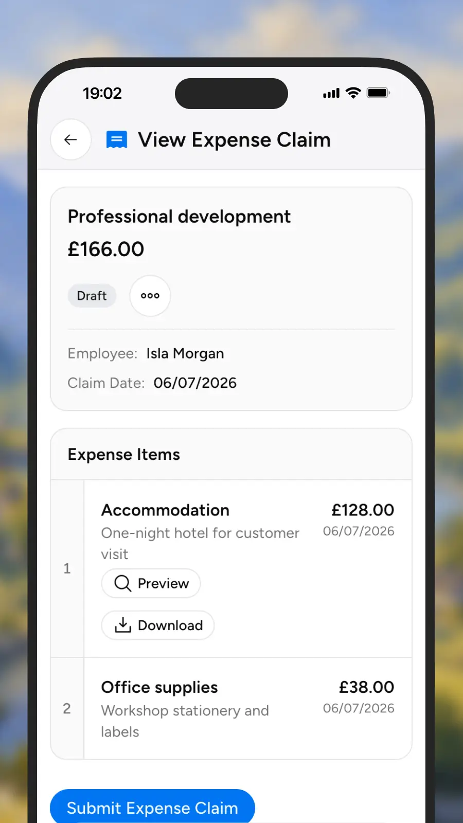 Itemised expense claim lines