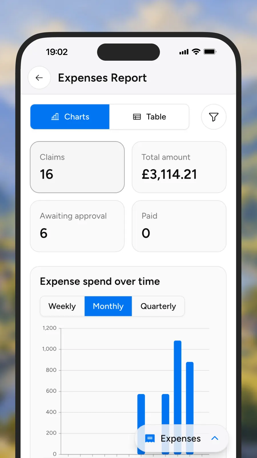 Expenses report charts and table